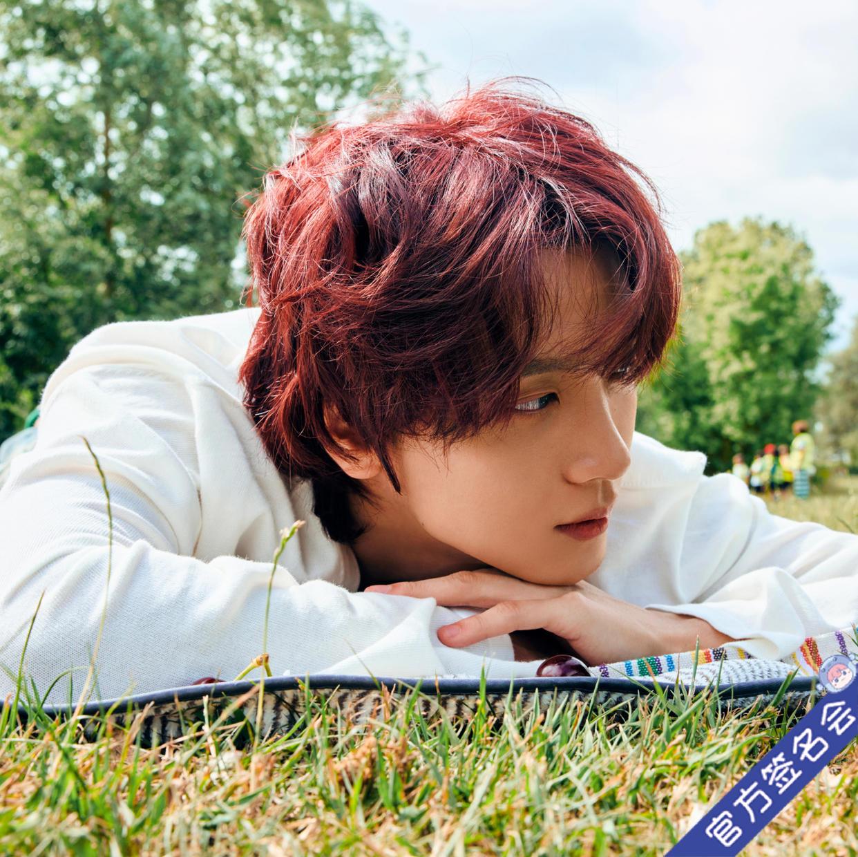 seventeen マカオ 一直娱 withfans 中華 　コンプセット seventeen マカオ 一直娱 withfans 中華 コンプセット seventeen